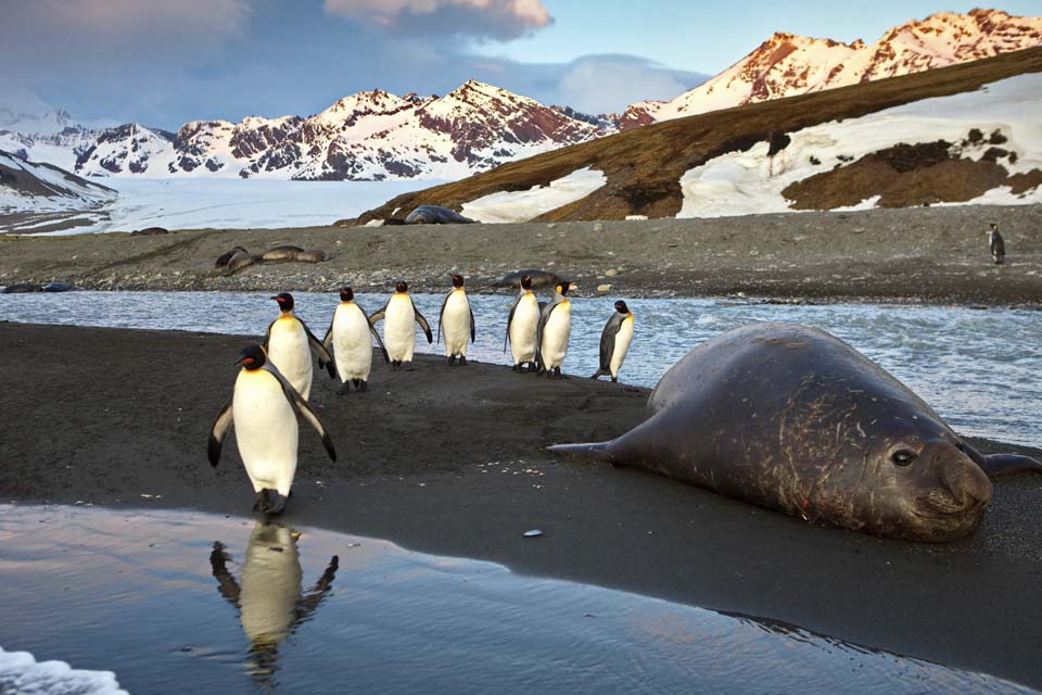 ANTARTIDA Y MALVINAS